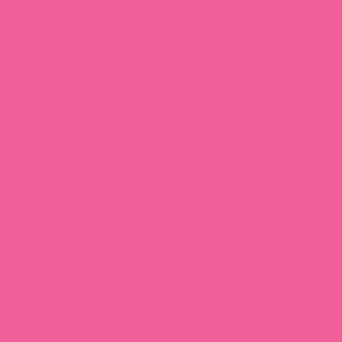 FESTIVAL FUSCHIA - PURE Solids | AGF