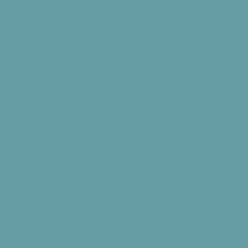 OCEAN WAVES - PURE Solids | AGF