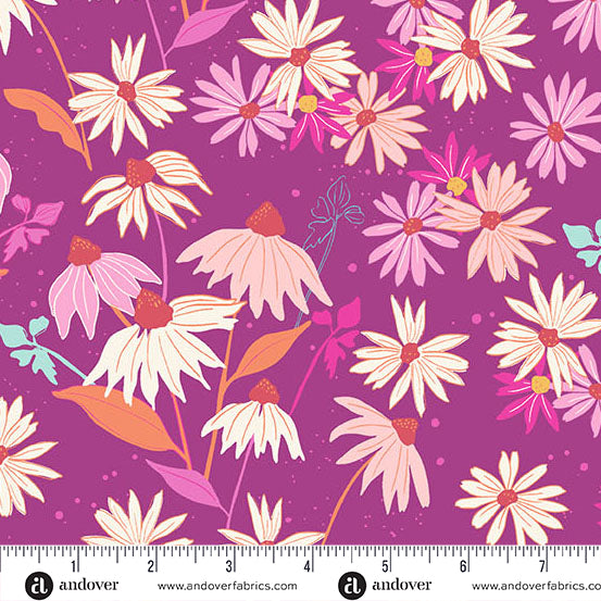 Echinacea in FANDANGO | Petals and Stitches