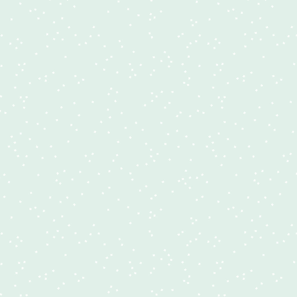 BLEACHED DENIM  - Blossom | Riley Blake Fabrics