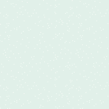 BLEACHED DENIM  - Blossom | Riley Blake Fabrics
