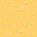 BLOOMING RAIN - The CUR8TOR Gardenista | AGF