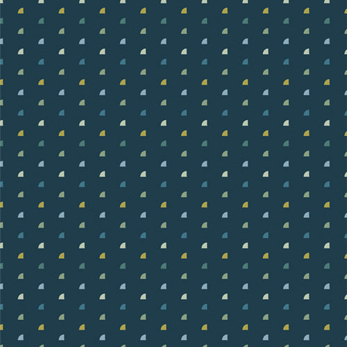 Tiny Moon NOVA - Evolve by Suzy Quilts | AGF