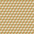 Blocks QUEEN BEE - Evolve by Suzy Quilts | AGF