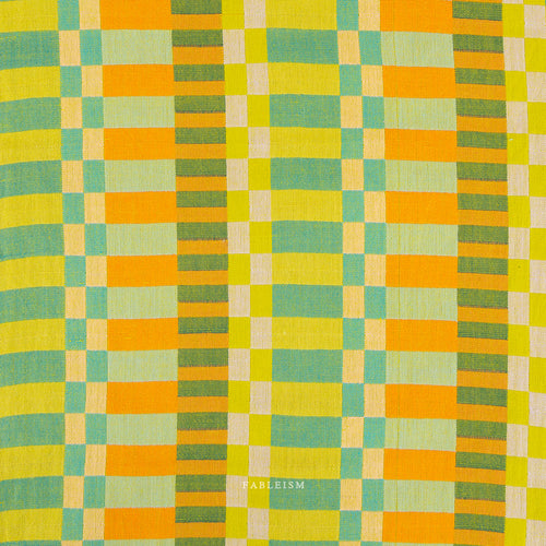 ** PREORDER **  Broken Stripes in Swim - Happy Camper | Fableism