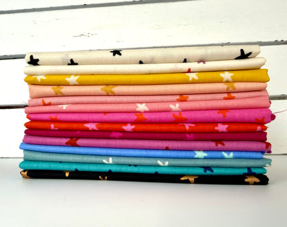 RAINBOW STARRY | BHQ Fabric Bundle