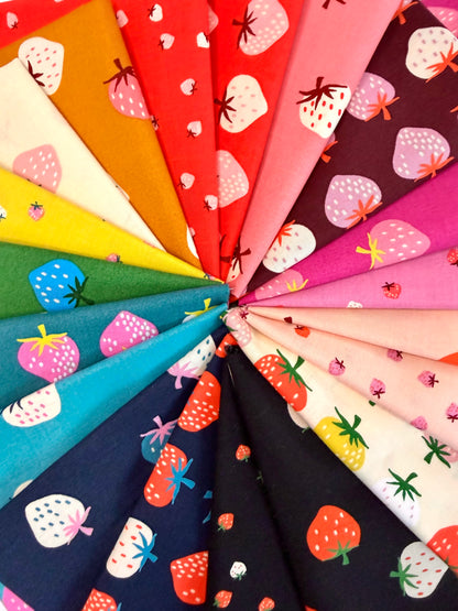 RAINBOW STRAWBERRY  | BHQ Fabric Bundle