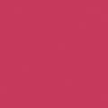 CHERRY LIPGLOSS - PURE Solids | AGF