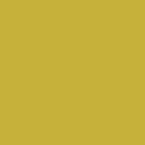OLIVE OIL - PURE Solids | AGF