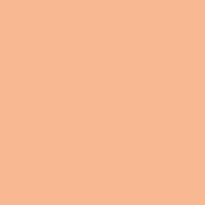 SHRIMPY - Signature PURE Solids by Suzy Quilts | AGF