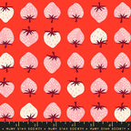 Lollipop | Strawberry