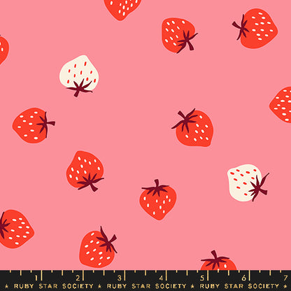 SORBET - Strawberry | RSS