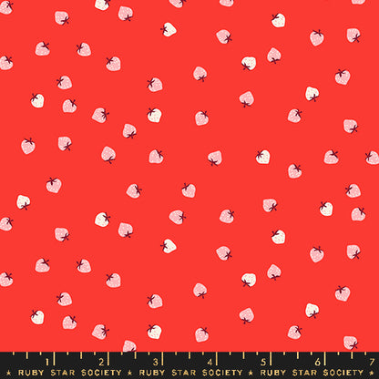 LOLLIPOP - Strawberry | RSS