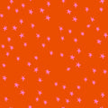 Warm Red | Starry