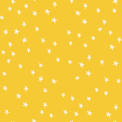 Starry - SUNSHINE